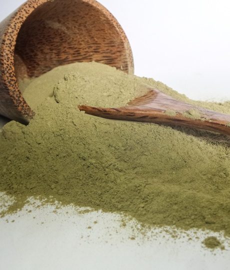 White Ketapang Kratom: Exploring Nature’s Energizing Herb